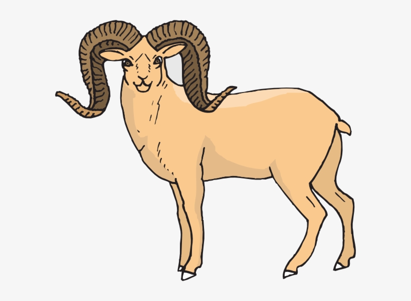 Bighorn Sheep Clipart Cartoon Big Horned Sheep Clipart PNG Image