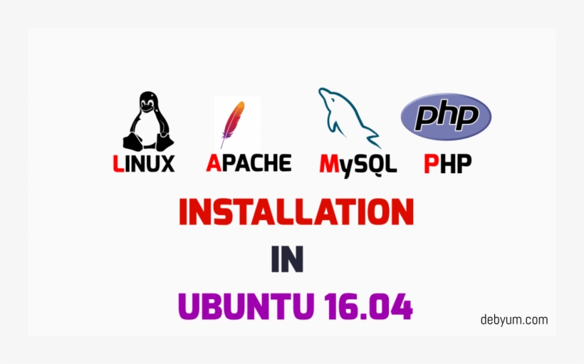 Install Lamp On Ubuntu - Graphic Design, transparent png download