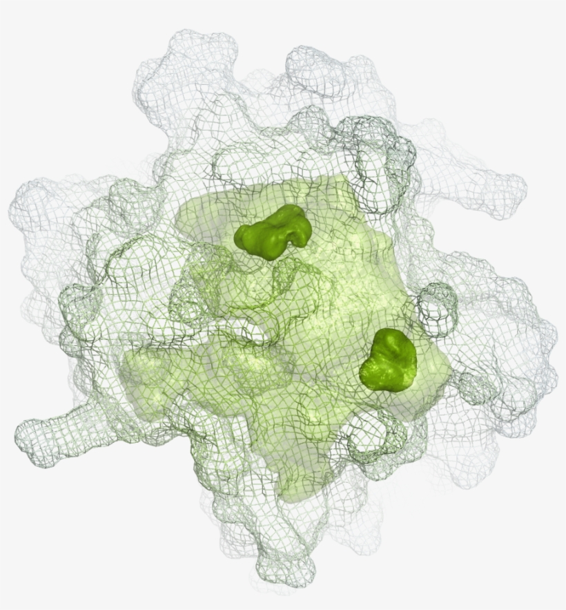 3dd2 15 Apr 2015 - Illustration, transparent png download