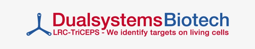 Protein Protein Interaction - Dualsystems Biotech Ag, transparent png download