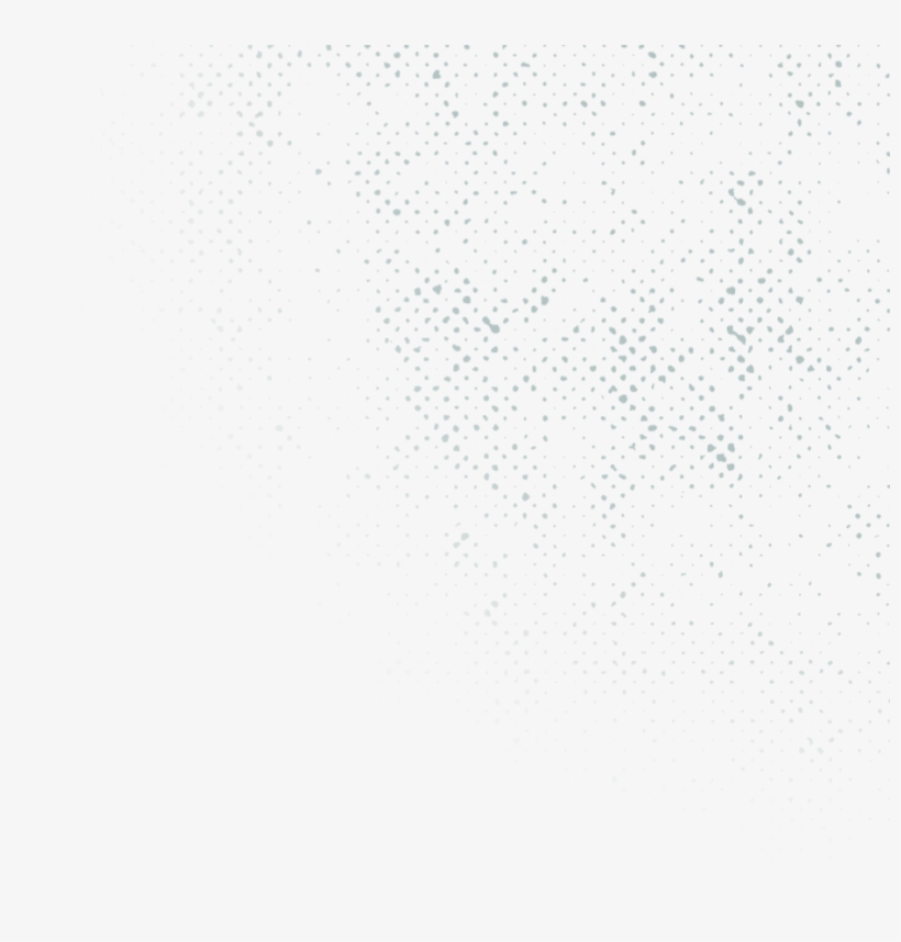 For The Next Twelve Days Leading Up To The Holidays, - Bird, transparent png download