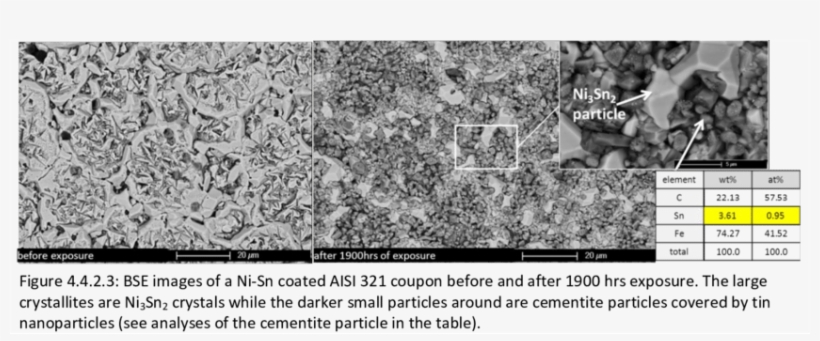 Before The Exposure The Surface Of The Sample Was Rough - Monochrome, transparent png download