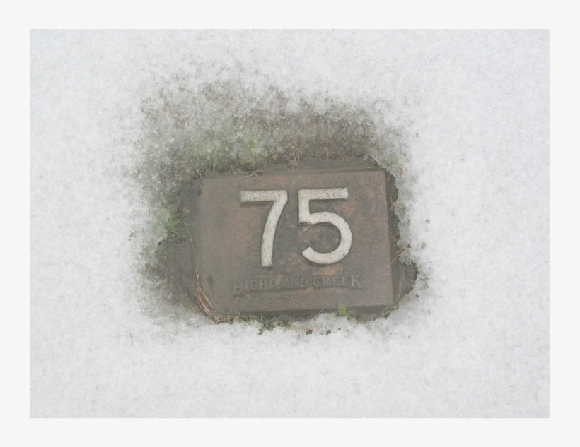 it's Been A Rough Year For The Music Industry David - Number, transparent png download