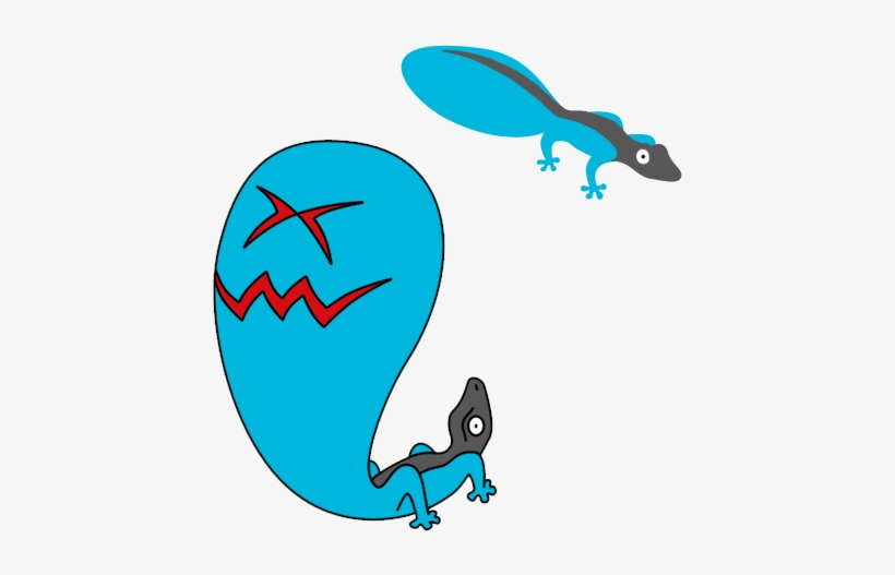 Wobbuffet Mimic Name Suggestions This Pokemon Is Pure, transparent png download
