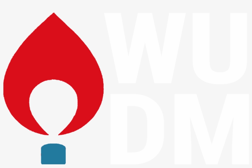 Social Media - Dance Marathon Flame No Background, transparent png download