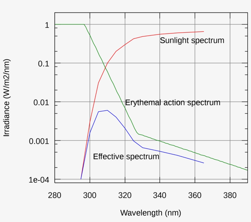 Erythemal Action Spectrum - Spectrum Uv Of Polycarbonate, transparent png download