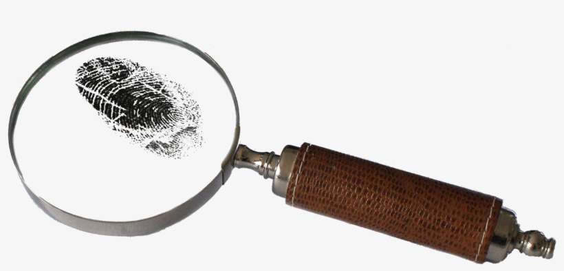 Coinbase Staff Accused Of Insider Trading - Detective Png, transparent png download