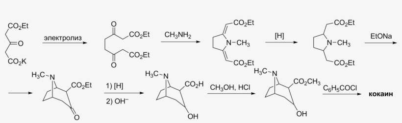 Cocaine Synthesis Willstatter - Формула Кокаина, transparent png download