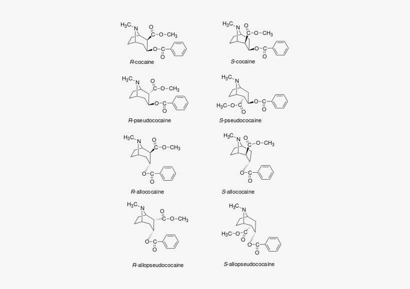 There Are Eight Stereoisomers Of Cocaine - Cocaine Analogs, transparent png download
