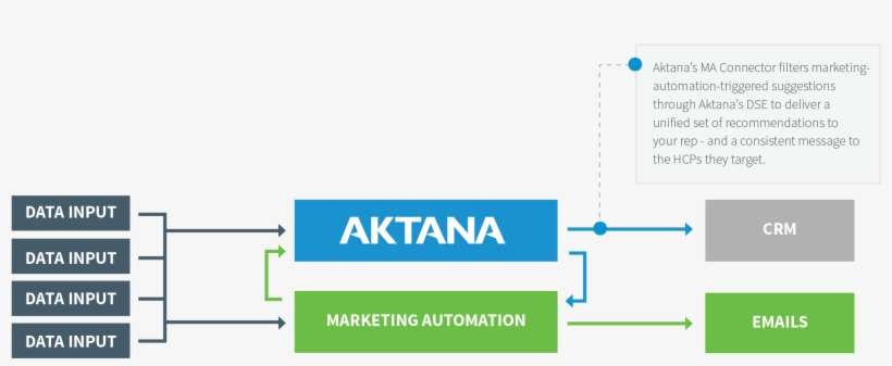 Coordinated Multichannel Marketing - Pharos University In Alexandria, transparent png download