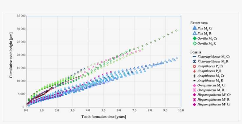 Plots Of Cumulative Growth In M 2 Crown And Root Height - Plot, transparent png download