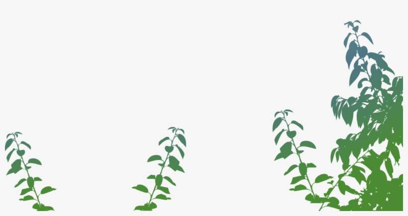 Something To Do With Seagulls, transparent png download