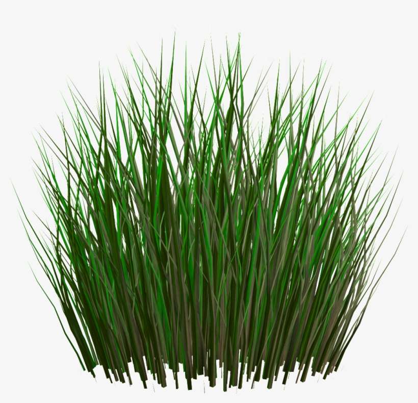 Png De Ornamentacao Transparente Para O Arbusto Em Grass Png Png Image Transparent Png Free Download On Seekpng