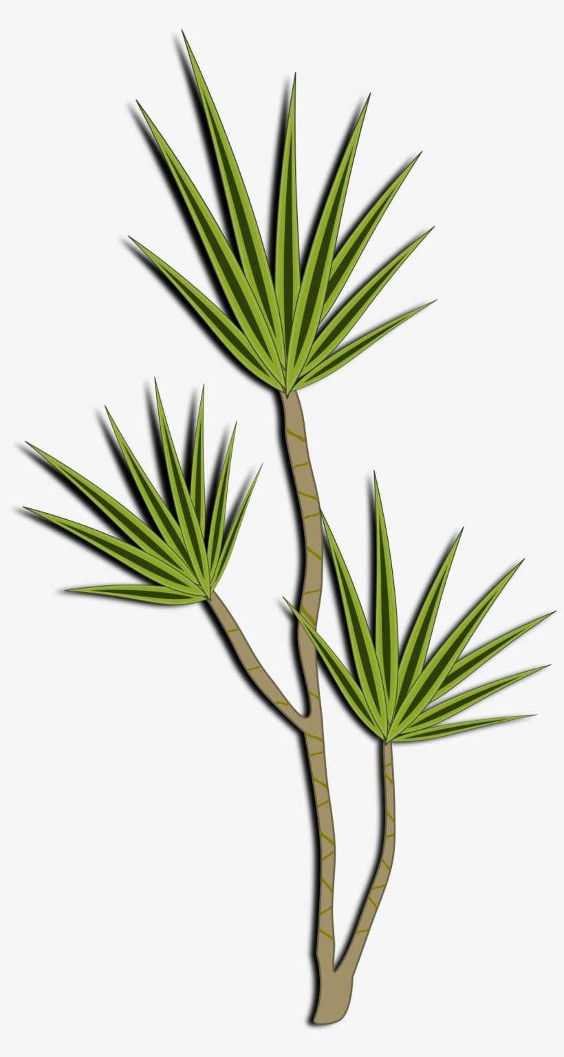 Big Image - Desert Shrub Clipart, transparent png download