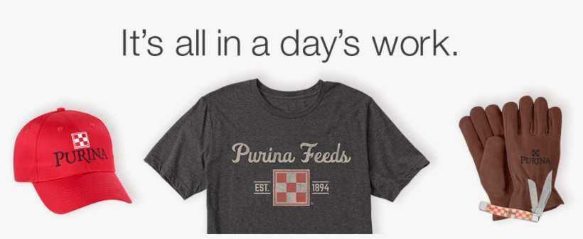 Purina Mills Online Estore - Urban Chicken, transparent png download