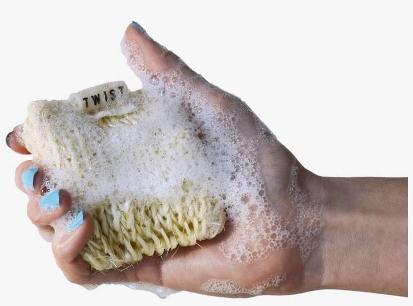 Soapy Twist Clean Dish Dumpling - Dish, transparent png download