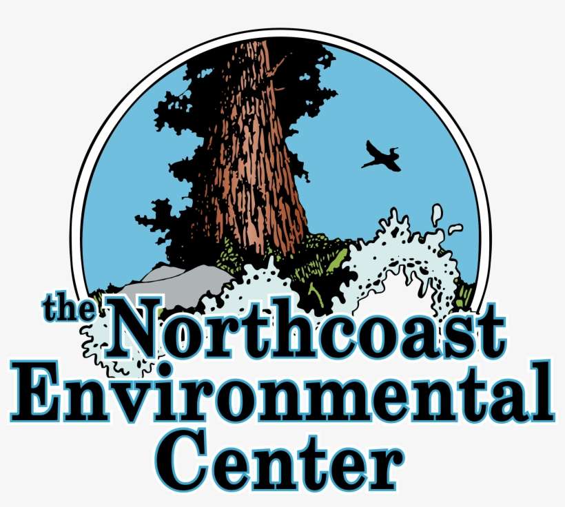 A Curious Thing About H - Northcoast Environmental Center, transparent png download