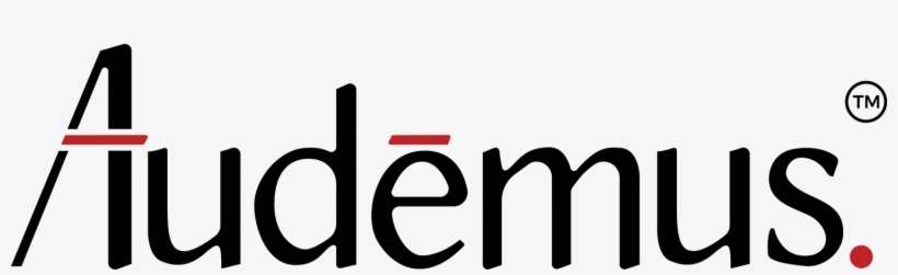 Technology Solutions Audēmus Is A Sdvosb Technology - Technology, transparent png download