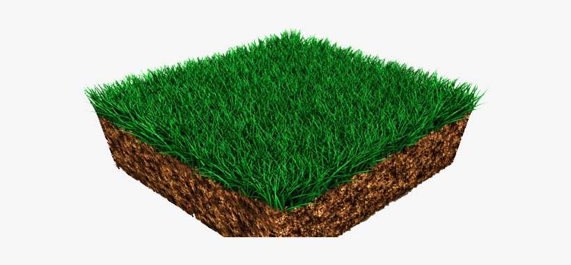 Northeast Ohio Lawn Care 330 861 - Ohio, transparent png download