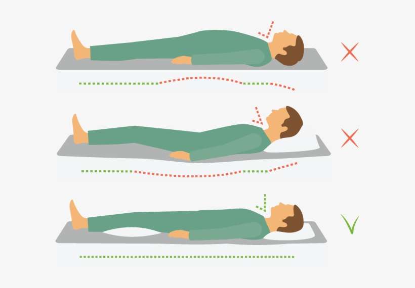 What To Look For In A Good Mattress For A Back Sleeper - Wirbelsäule Schlafen, transparent png download