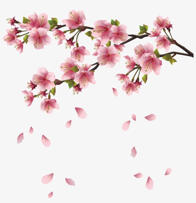 Image Beautiful Pink Spring - Falling Cherry Blossom Png, transparent png download