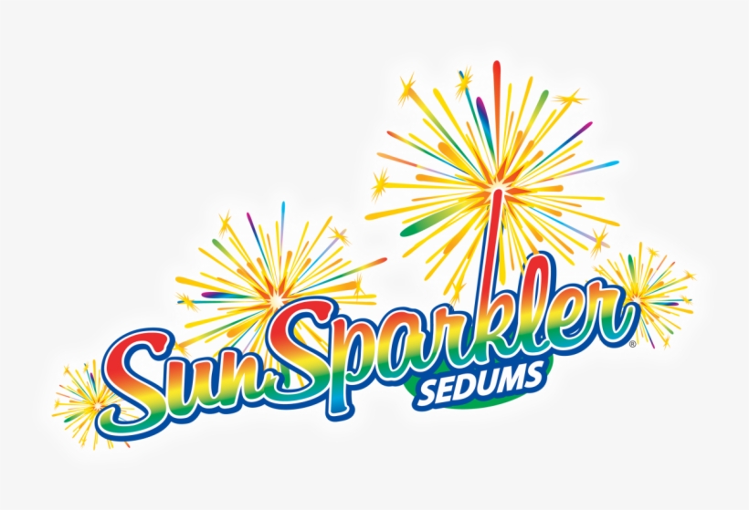 Chris Hansen Is At It Again With The Introduction Of - Stonecrop, transparent png download