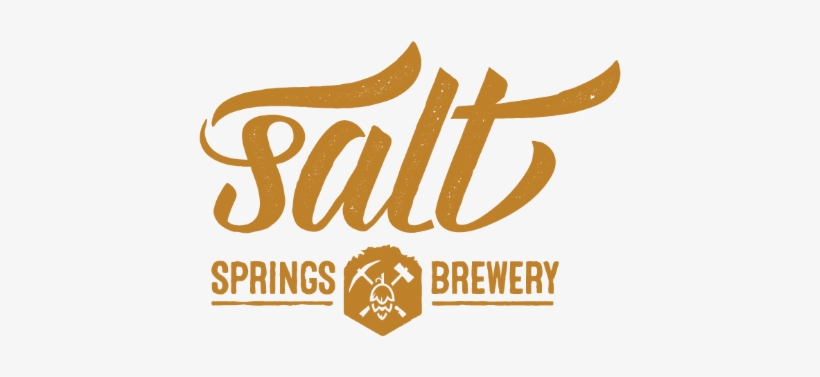 Salt Springs Logo Orange - Salt Springs Logo, transparent png download