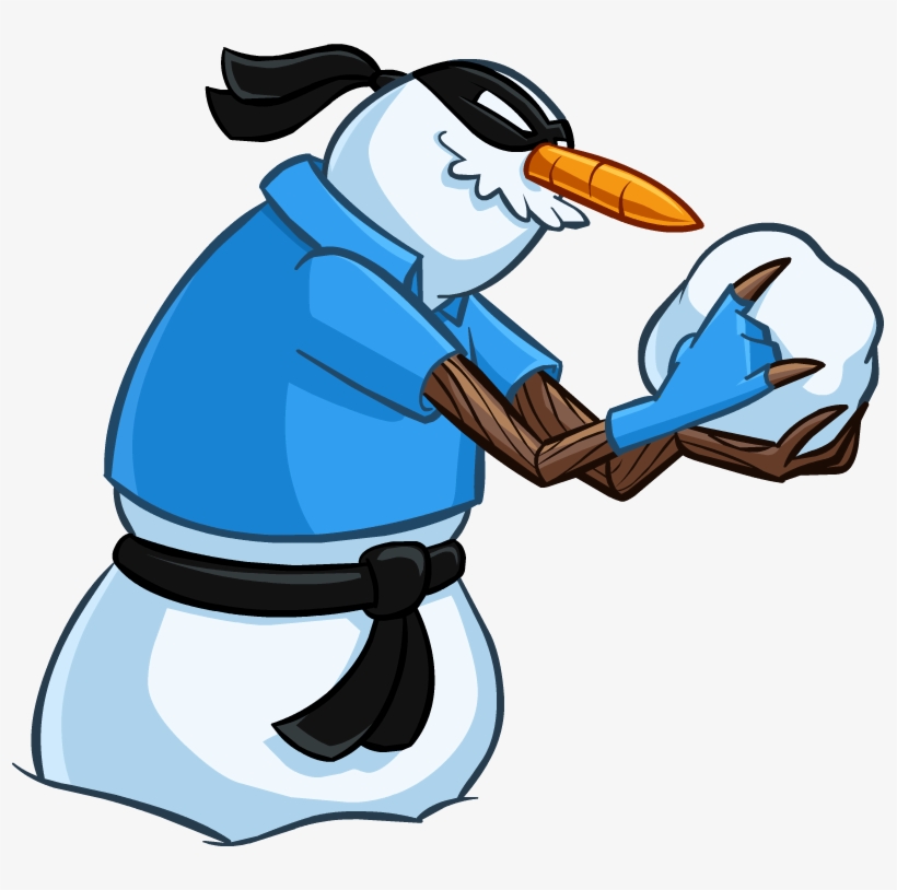 Image Club Penguin Png Wiki Fandom Clubpenguinvillainpng - Club Penguin Villain, transparent png download