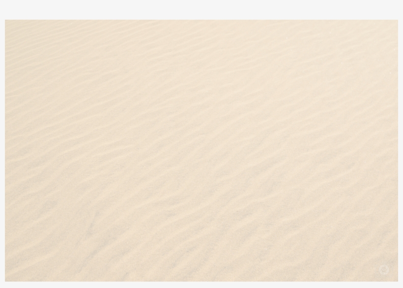 Find A Business - Paper Texture Nature, transparent png download