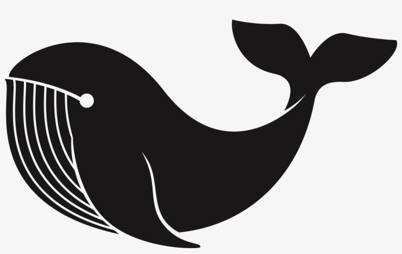 고래 Png 무료다운로드 Free Whale Png - Portable Network Graphics, transparent png download