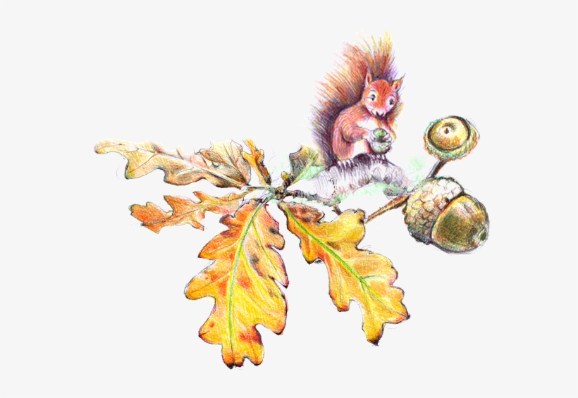Under The Old Oak Tree - Oak, transparent png download