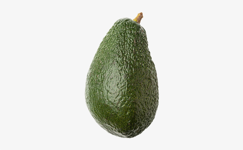 Avocado - Photography, transparent png download