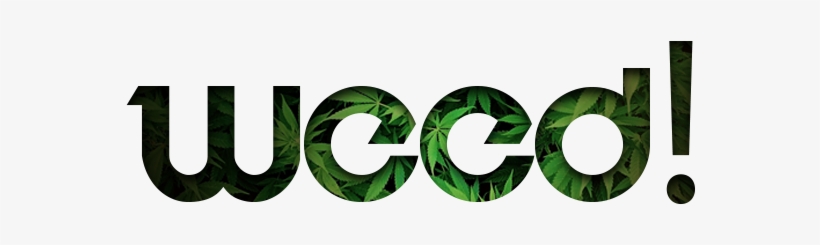 Cannabis Fact - Imagenes De Weed Png, transparent png download