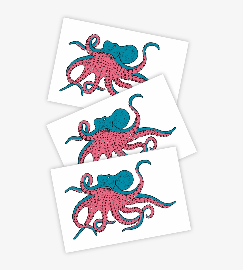 Octopus, transparent png download