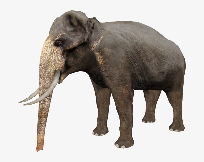 Sri Lankant Elephant - Sri Lankan Elephant Png, transparent png download