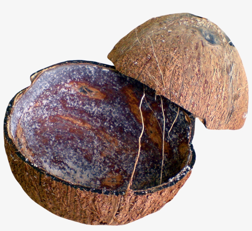 Coconut Shell Png Transparent Image - Coconut Shell Png, transparent png download