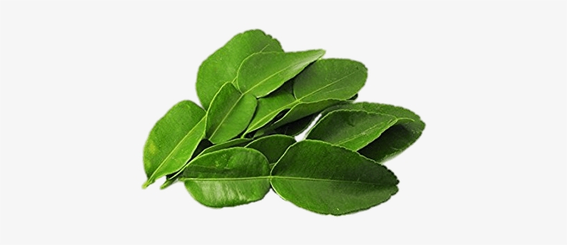 Daun Limau, transparent png download