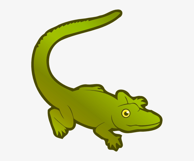 Alligator 555px 55 - Crocodile, transparent png download