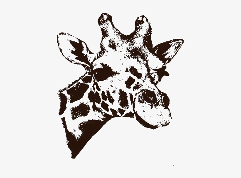 Researchers Found That The Giraffe Uses A System Similar - User Account, transparent png download