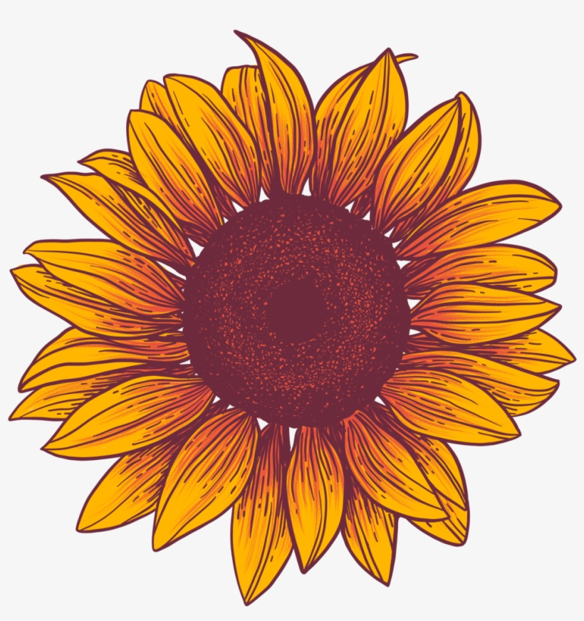 Rebranded Sf Lfower, transparent png download