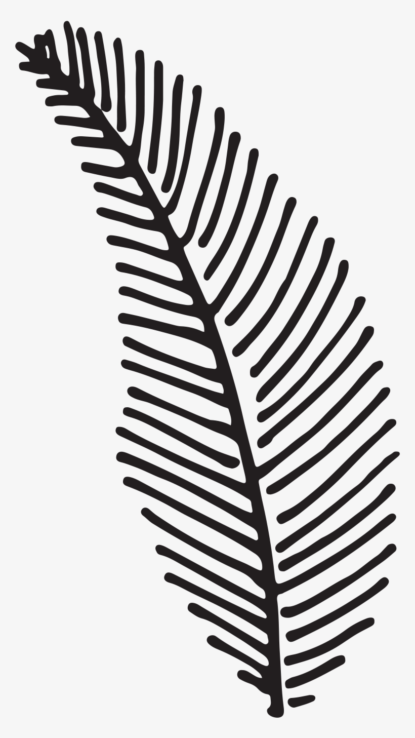 Kayla And Chris Fern Forest Nature Center Weddingwedding - Palm Beach, transparent png download