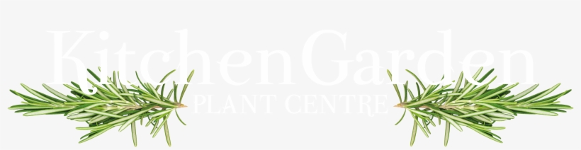 Kitchen Garden Plant Centre Logo Large - Logo, transparent png download