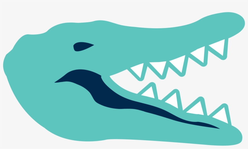 Alligators Are Found In The Southeastern United States, - American Alligator, transparent png download