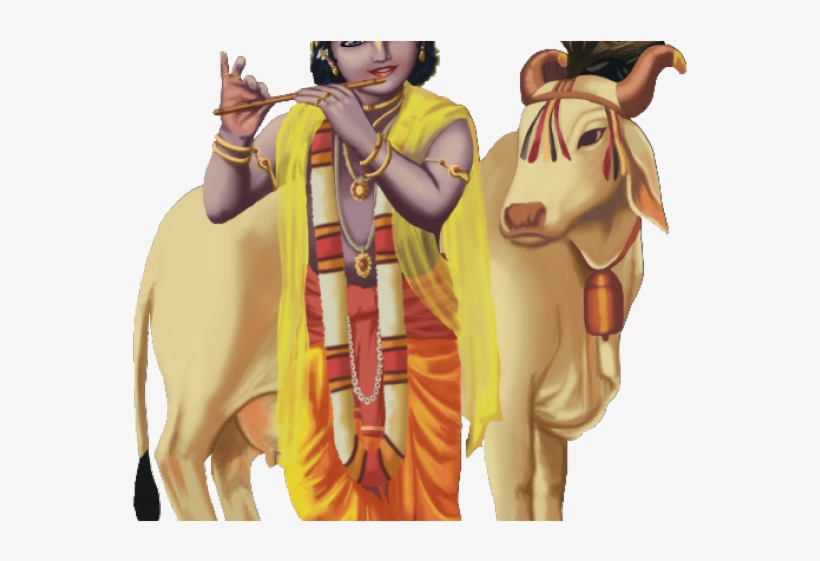 Krishna Hindu Lordkrishna Mahabharath Freetoedit Source - Hindu's Fight For Mother Cow: 94 Ways To Rip Beef Lovers, transparent png download