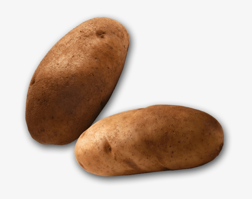 One Potato, Two Potatoes, Three Potatoes, Four Five - Russet Burbank Potato, transparent png download