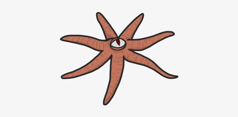 Starfish - Filmmaking, transparent png download