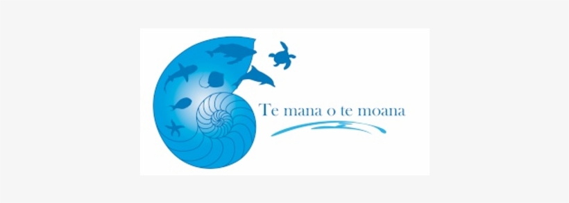 Graphic Design, transparent png download
