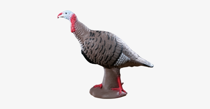 Tom-turkey - Rinehart 3d Targets, transparent png download
