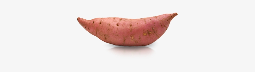 Sweet Potato, transparent png download