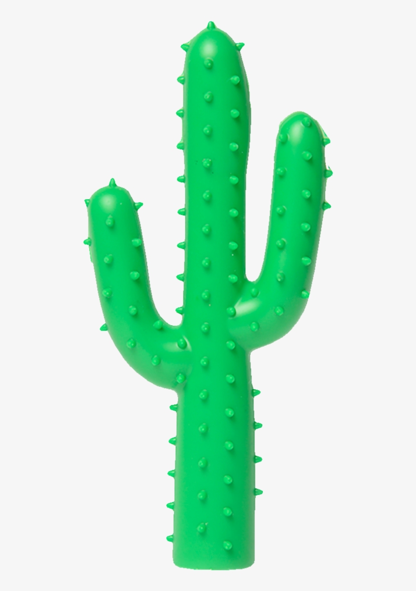 Silly Succulent, Cactus Dog Toy-0 - Toy Cactus, transparent png download